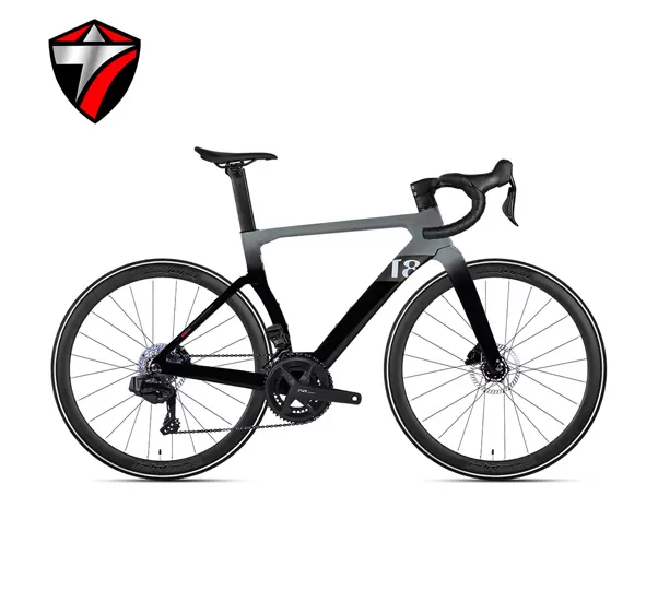 T8-disc (24-speed) Road Bike