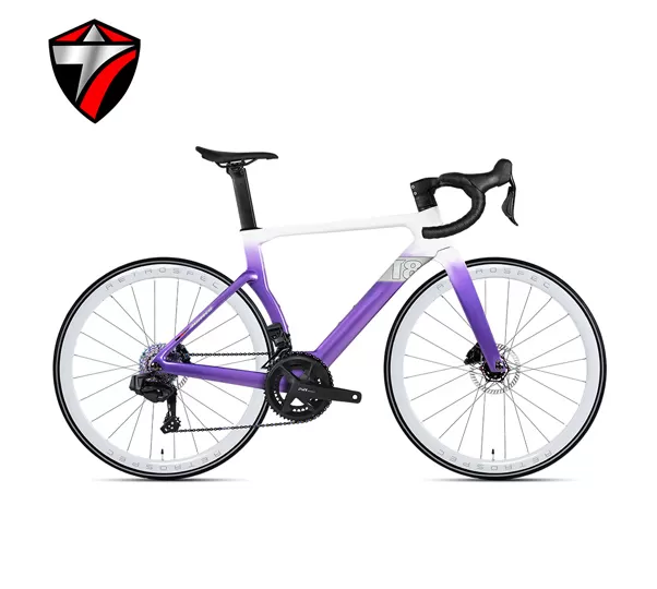 T8-disc (24-speed) Road Bike