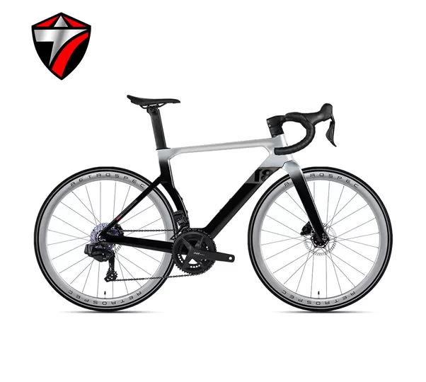 T8-disc (24-speed) Road Bike