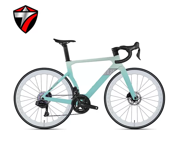 T8-disc (24-speed) Road Bike