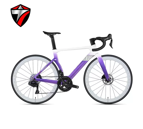 T8-disc (24-speed) Road Bike