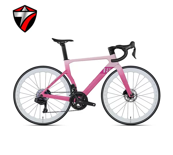 T8-disc (24-speed) Road Bike