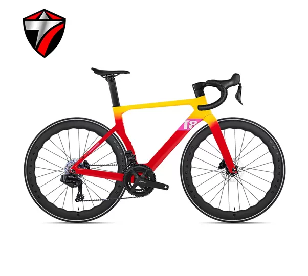 T8-disc (24-speed) Road Bike