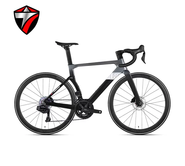 T8-disc (24-speed) Road Bike
