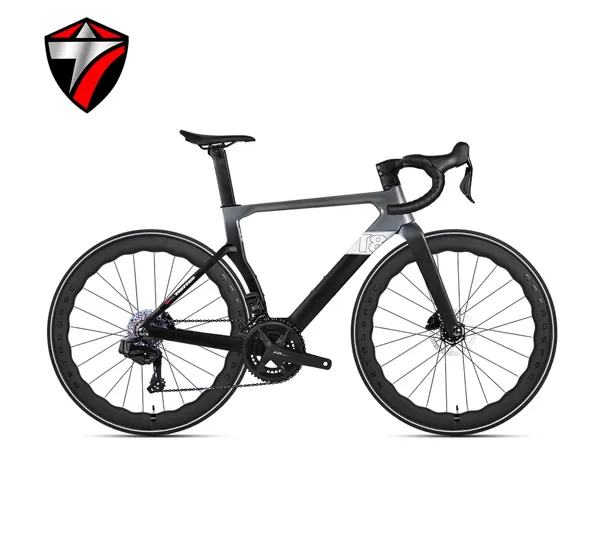 T8-disc (24-speed) Road Bike