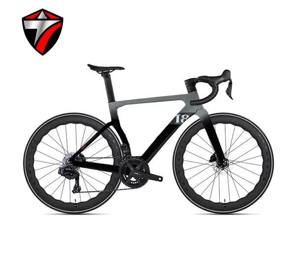 T8-disc (24-speed) Road Bike