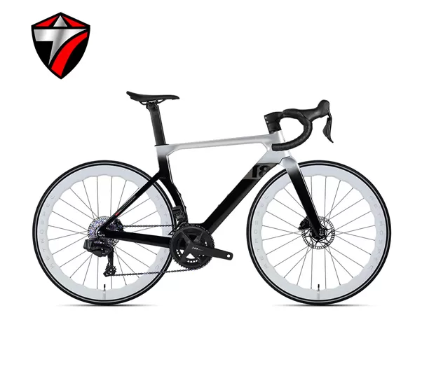 T8-disc (24-speed) Road Bike