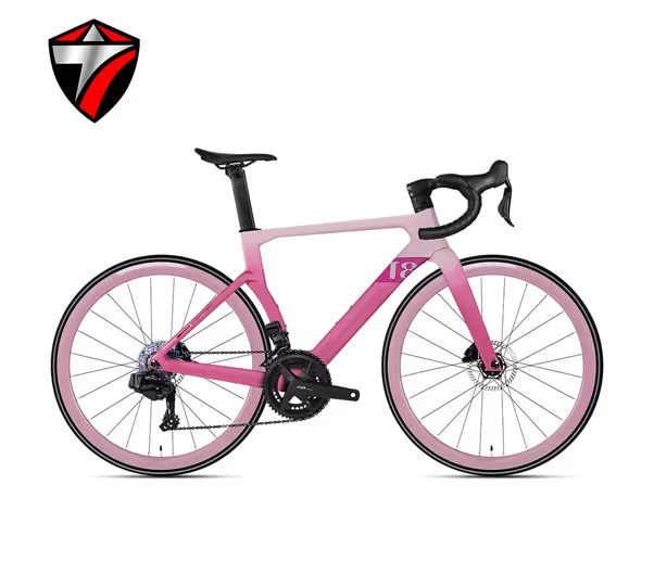 T8-disc (24-speed) Road Bike