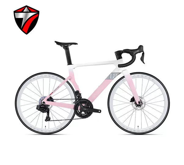 T8-disc (24-speed) Road Bike