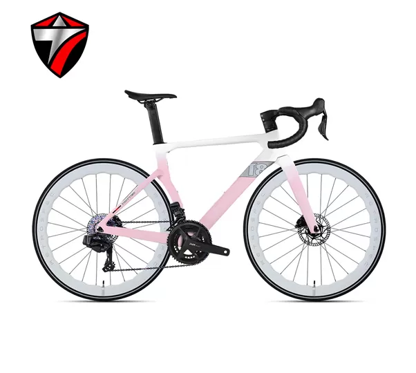 T8-disc (24-speed) Road Bike