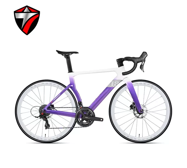 T8-disc (RS 24-speed) Road Bike