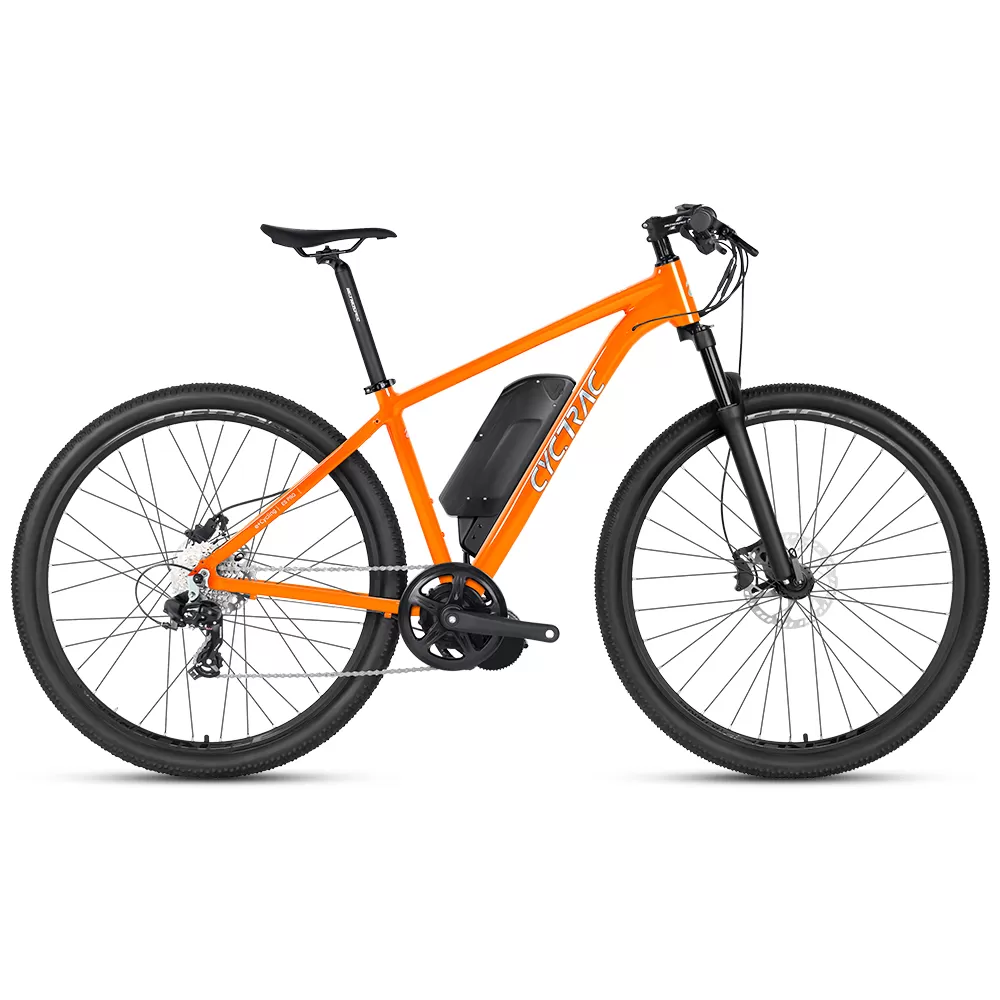 E5pro-Mid 36V350W10A