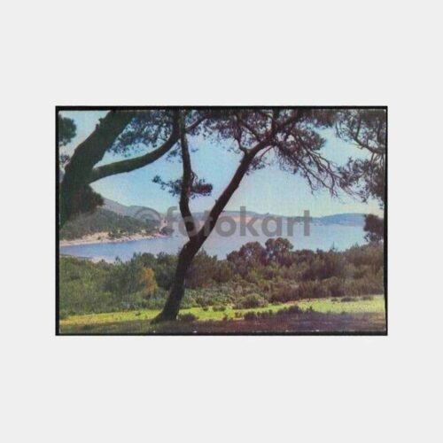 1977 Ayvalık Güzellikleri Kartpostal