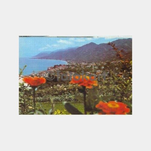 Rize Çiçekler İçinden Kartpostal