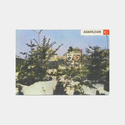 1973 Adapazarı Bulvar Kış Manzarası Kartpostal