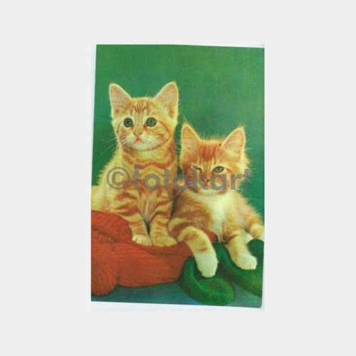 Kediler Konulu Eski Kartpostal
