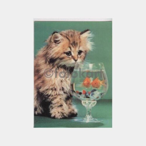 Kedi ve Balık Üç Boyutlu Kartpostal