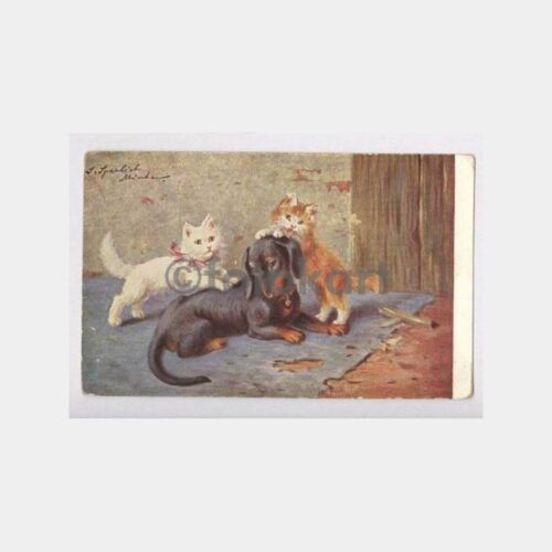 Kediler ve Köpekler Konulu Tablo Kartpostal