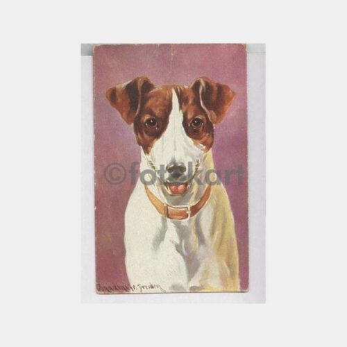 Köpek Konulu Eski Tablo Kartpostal
