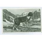 1939 Lozan Damgalı St Bernard Köpek Kartı