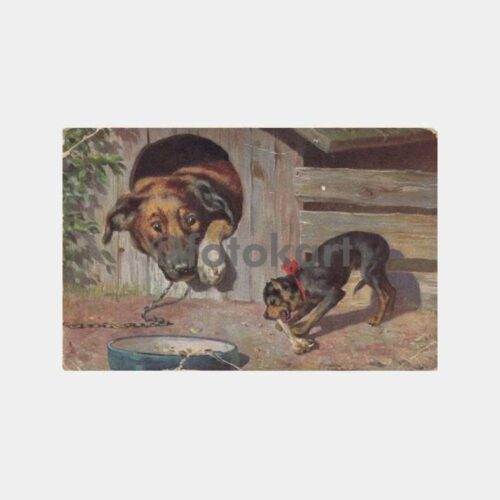 1940 Av ve Avcılık Konulu Köpek Kartpostalı