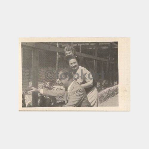 1951 Bursa Tavşan Çiftliği Fotoğraf
