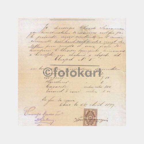 1893 İstanbul Fiskal Pullu Finans Belgesi