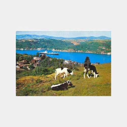 Güzel Boğaziçi ve Gemi Kartpostal