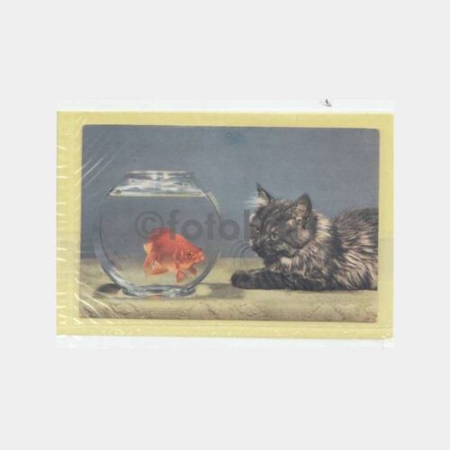 1940 Kedi ve Balık Konulu Yabancı Kartpostal