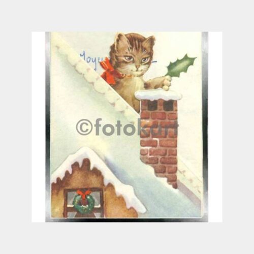 1950 Kedi Konulu Tebrik Kartı