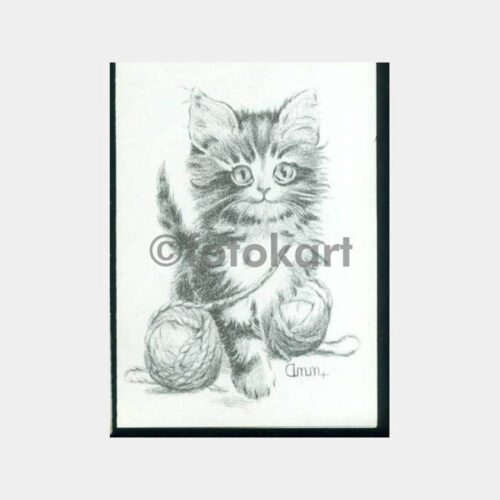Kedi Konulu Tebrik Kartı