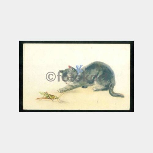 1930 Alman Ressam Tablo Kartpostal - Kedi Çekirge