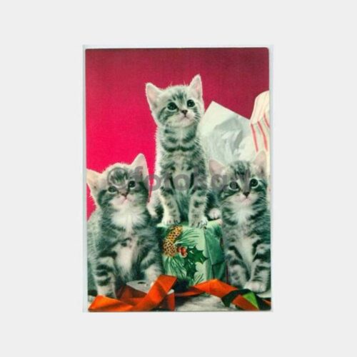 Kedi Konulu Yabancı Kartpostal