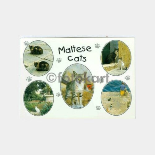1990 Malta Adası Kedileri Konulu Kartpostal