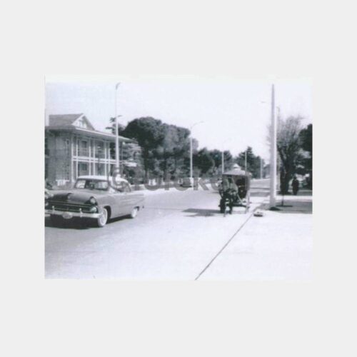 1957 Kadıköy Bağdat Caddesi Ekmek Arabası Fotoğraf
