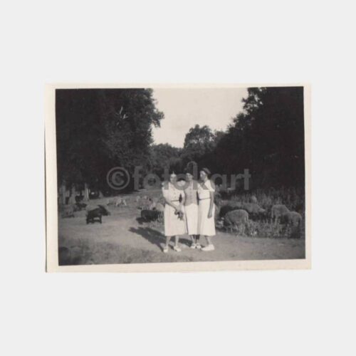 1938 Beykoz Korusu Kadınlar Konulu Fotoğraf