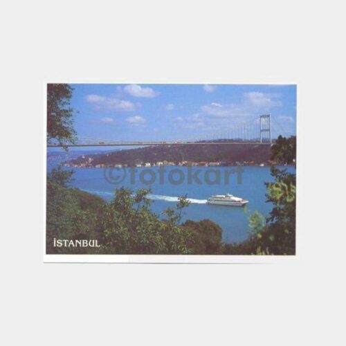 Boğaziçi Fatih Köprü ve Deniz Otobüsü Kartpostal