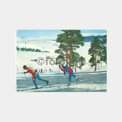 Kars Sarıkamış Kayakçılar Görünüş Kartpostal