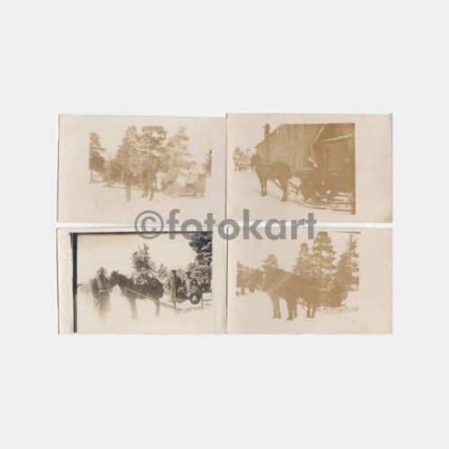 1928 Kars Atlı Kızak Konulu 6 Adet Fotoğraf