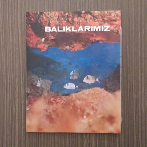 Balıklarımız