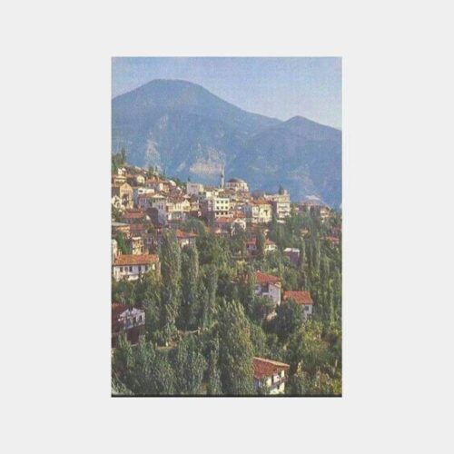 Artvin Şehirden Görünüş Kartpostal