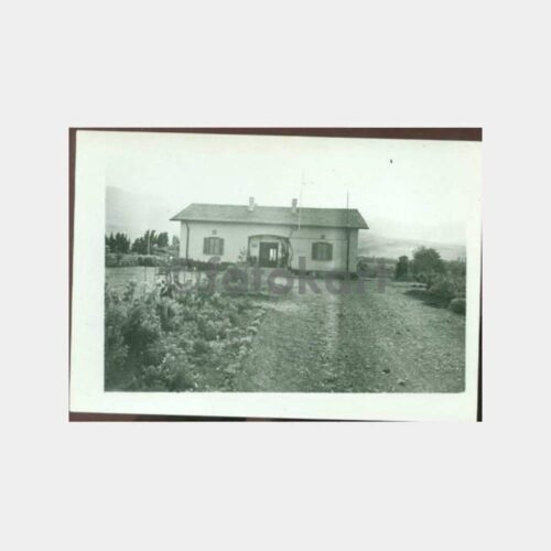 1950 İskenderun Bahçe Kültürleri Fotoğraf
