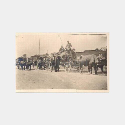 1933 Çanakkale Ezine Yolu Tamirli Hatıra Fotoğraf