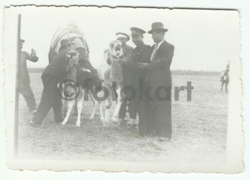 1930'lar Belen (?) Hatay 42 Adet Fotoğraf - Görsel 3