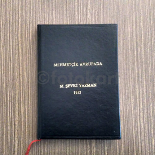 Mehmetçik Avrupada