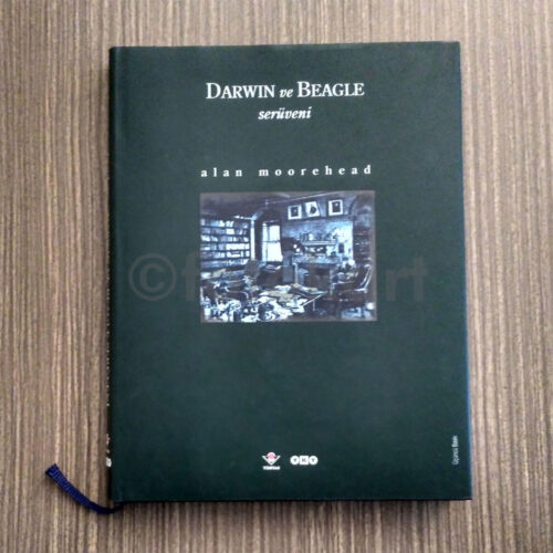 Darwin Beagle