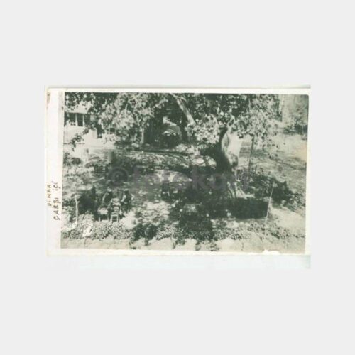1929 Afyon Dinar Görünüş Kartpostal - Çarşı İçi
