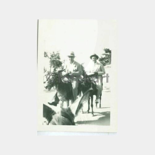 1937 Adalar Eşek Gezisi Albüm Fotoğraf