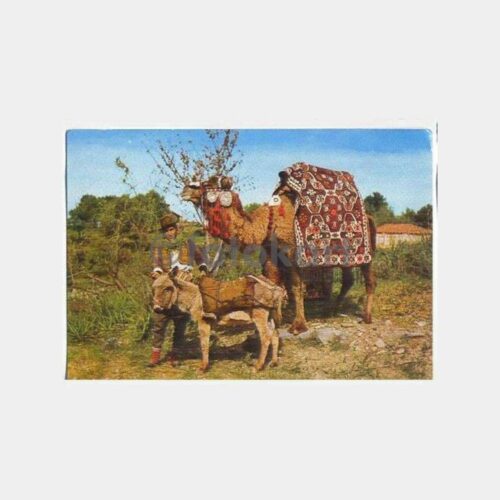 1967 Alanya Develer Mersin Damgalı Kartpostal