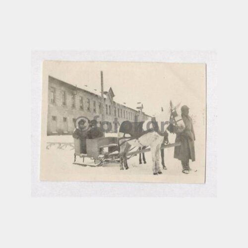 1930 Sarıkamış Atlı Kızak Arabası Görünüş Fotoğraf